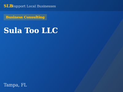 Sula Too LLC — Business Consulting in Tampa, FL