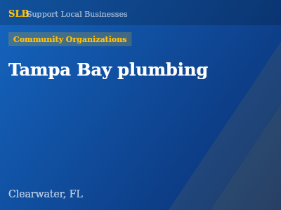 Tampa Bay plumbing — Community Organizations in Clearwater, FL