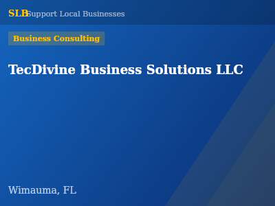 TecDivine Business Solutions LLC — Business Consulting in Wimauma, FL