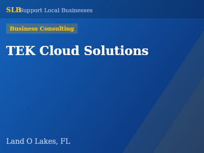 TEK Cloud Solutions — Business Consulting in Land O Lakes, FL