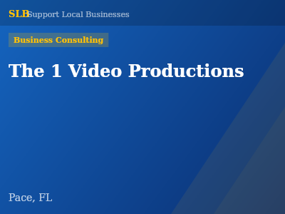 The 1 Video Productions — Business Consulting in Pace, FL