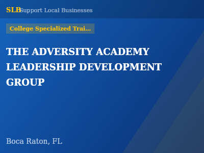 THE ADVERSITY ACADEMY LEADERSHIP DEVELOPMENT GROUP — College Specialized Training in Boca Raton, FL