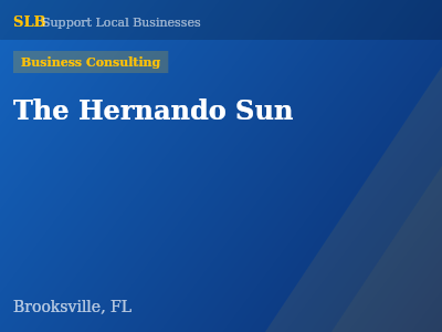 The Hernando Sun — Business Consulting in Brooksville, FL