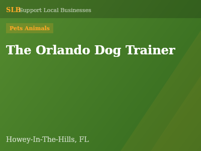 The Orlando Dog Trainer — Pets Animals in Howey-In-The-Hills, FL