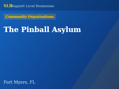 The Pinball Asylum — Community Organizations in Fort Myers, FL
