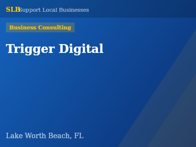 Trigger Digital — Business Consulting in Lake Worth Beach, FL