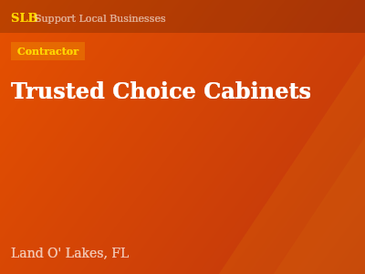 Trusted Choice Cabinets — Contractor in Land O' Lakes, FL