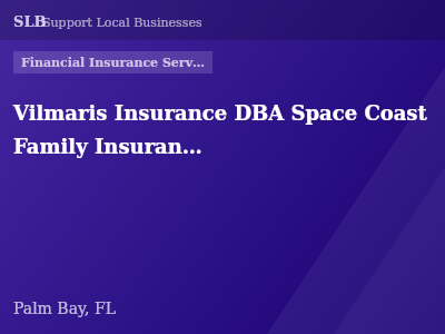 Vilmaris Insurance DBA Space Coast Family Insurance — Financial Insurance Services in Palm Bay, FL