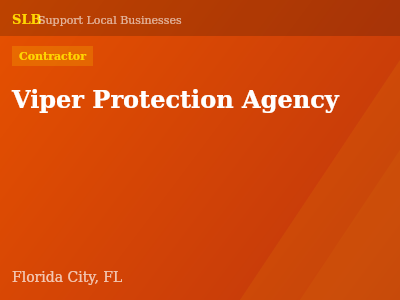 Viper Protection Agency — Contractor in Florida City, FL