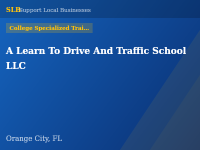 A Learn To Drive And Traffic School LLC — College Specialized Training in Orange City, FL