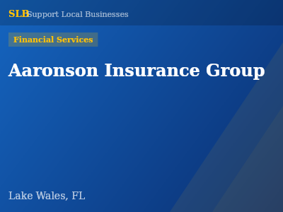 Aaronson Insurance Group — Financial Services in Lake Wales, FL