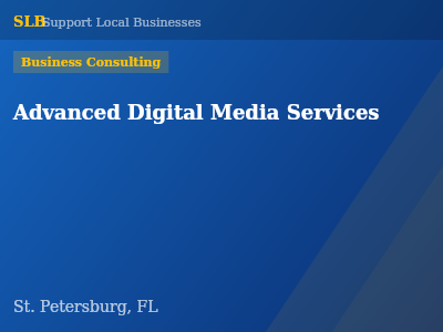 Advanced Digital Media Services — Business Consulting in St. Petersburg, FL
