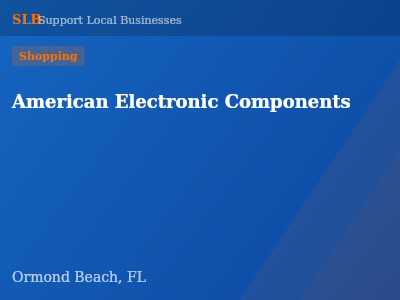 American Electronic Components — Shopping in Ormond Beach, FL