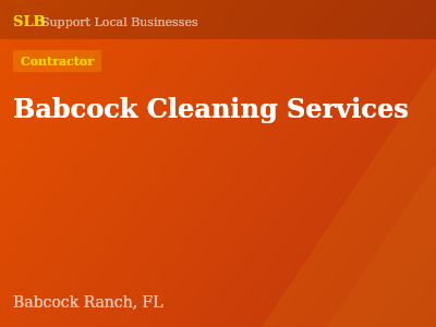Babcock Cleaning Services — Contractor in Babcock Ranch, FL