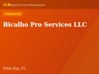 Bicalho Pro Services LLC — Contractor in Palm Bay, FL