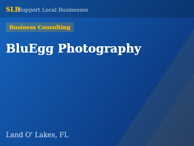 BluEgg Photography — Business Consulting in Land O' Lakes, FL