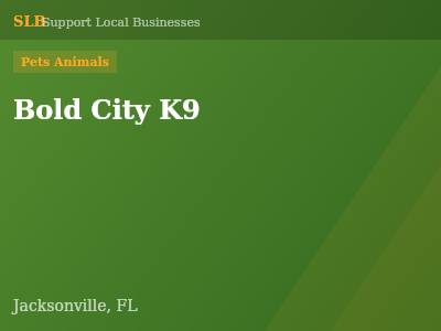 Bold City K9 — Pets Animals in Jacksonville, FL