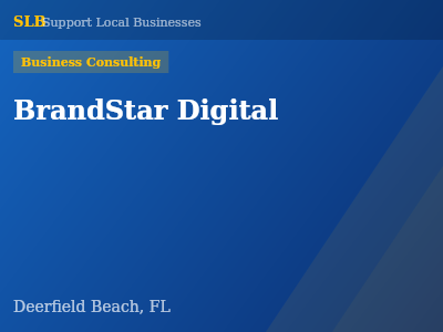 BrandStar Digital — Business Consulting in Deerfield Beach, FL