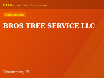 BROS TREE SERVICE LLC — Contractors in Kissimmee, FL