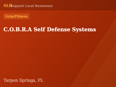 C.O.B.R.A Self Defense Systems — Gym/Fitness in Tarpon Springs, FL