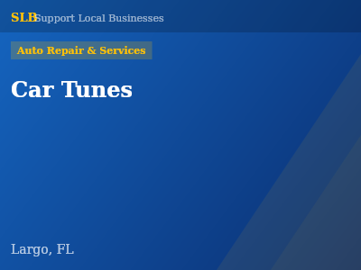 Car Tunes — Auto Repair & Services in Largo, FL