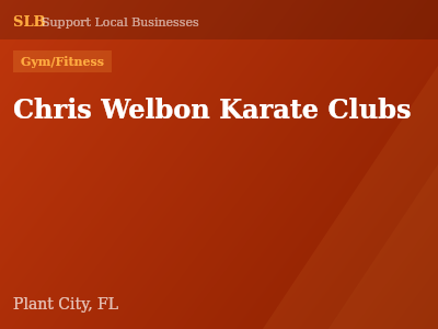 Chris Welbon Karate Clubs — Gym/Fitness in Plant City, FL