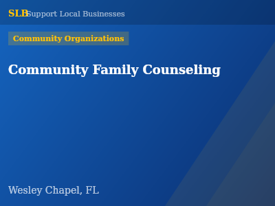 Community Family Counseling — Community Organizations in Wesley Chapel, FL