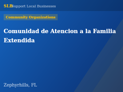 Comunidad de Atencion a la Familia Extendida — Community Organizations in Zephyrhills, FL