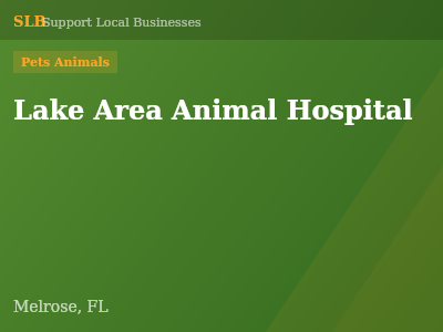 Lake Area Animal Hospital — Pets Animals in Melrose, FL
