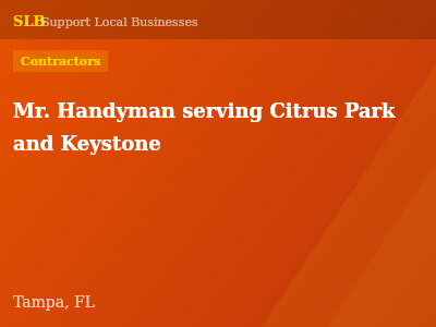 Mr. Handyman serving Citrus Park and Keystone — Contractors in Tampa, FL