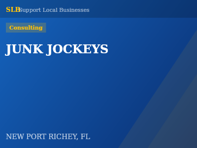 JUNK JOCKEYS — Consulting in NEW PORT RICHEY, FL