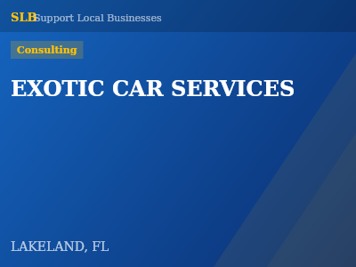 EXOTIC CAR SERVICES — Consulting in LAKELAND, FL