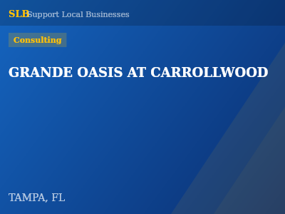 GRANDE OASIS AT CARROLLWOOD — Consulting in TAMPA, FL