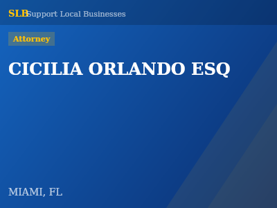 CICILIA ORLANDO ESQ — Attorney in MIAMI, FL