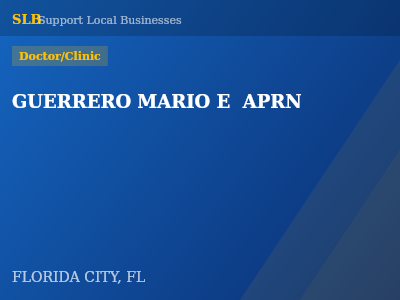 GUERRERO MARIO E  APRN — Doctor/Clinic in FLORIDA CITY, FL