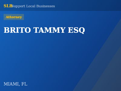 BRITO TAMMY ESQ — Attorney in MIAMI, FL