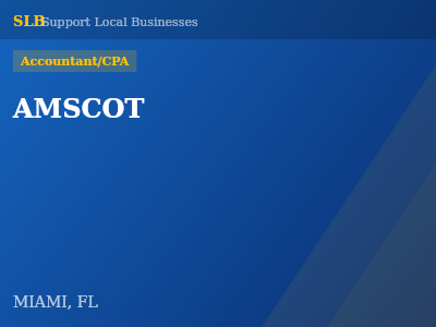 AMSCOT — Accountant/CPA in MIAMI, FL
