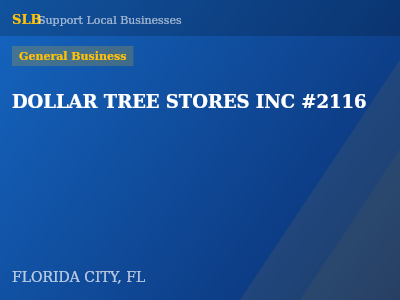 DOLLAR TREE STORES INC #2116 — General Business in FLORIDA CITY, FL