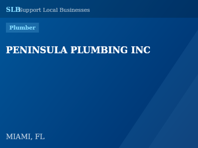 PENINSULA PLUMBING INC — Plumber in MIAMI, FL
