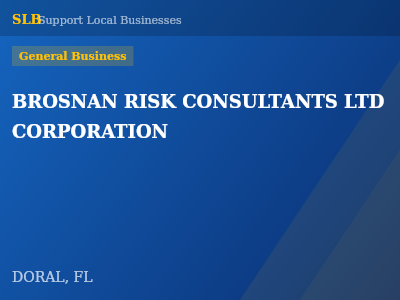 BROSNAN RISK CONSULTANTS LTD CORPORATION — General Business in DORAL, FL