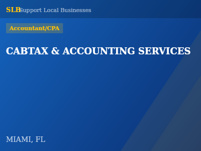 CABTAX & ACCOUNTING SERVICES — Accountant/CPA in MIAMI, FL