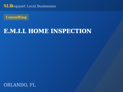 E.M.I.L HOME INSPECTION — Consulting in ORLANDO, FL