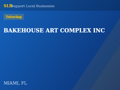 BAKEHOUSE ART COMPLEX INC — Tutoring in MIAMI, FL