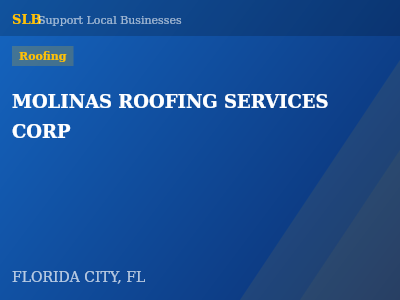 MOLINAS ROOFING SERVICES CORP — Roofing in FLORIDA CITY, FL