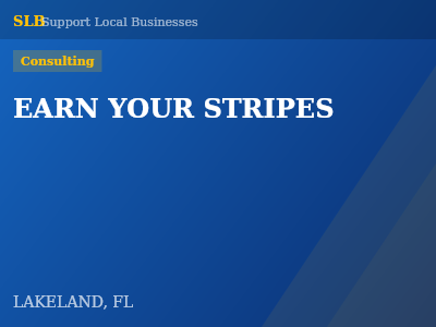 EARN YOUR STRIPES — Consulting in LAKELAND, FL