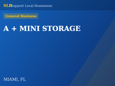 A + MINI STORAGE — General Business in MIAMI, FL