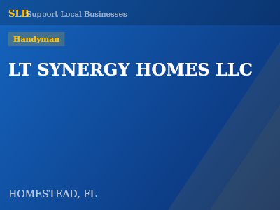 LT SYNERGY HOMES LLC — Handyman in HOMESTEAD, FL
