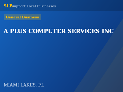 A PLUS COMPUTER SERVICES INC — General Business in MIAMI LAKES, FL