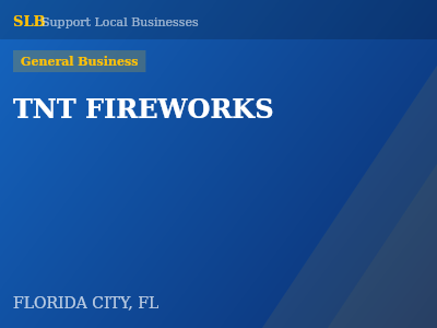 TNT FIREWORKS — General Business in FLORIDA CITY, FL