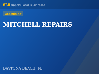 MITCHELL REPAIRS — Consulting in DAYTONA BEACH, FL
